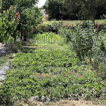 Jaktstuga Cabanyes Llagostera